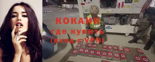 амф Пестово