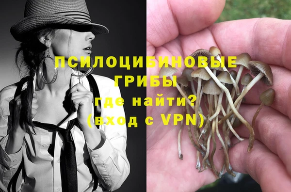 амф Пестово