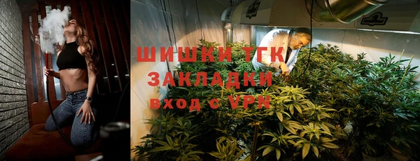 амф Пестово