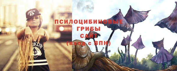 mdpv Пересвет