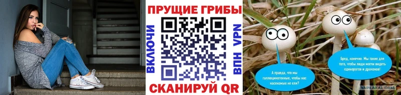kraken ONION  Черногорск  Псилоцибиновые грибы ЛСД  купить наркотик 