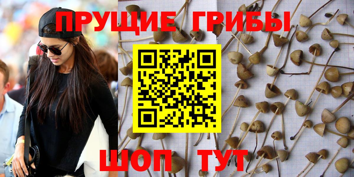 Псилоцибиновые грибы мухоморы Черногорск