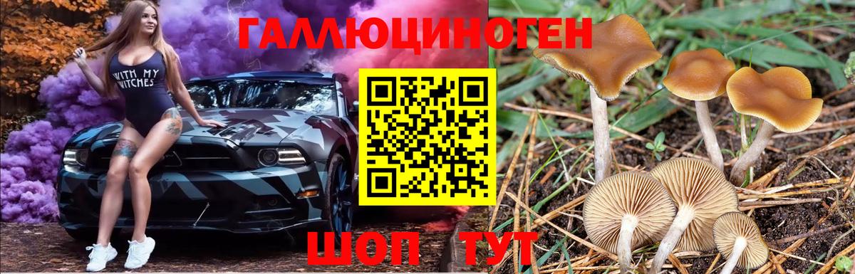 Галлюциногенные грибы Cubensis  Черногорск 